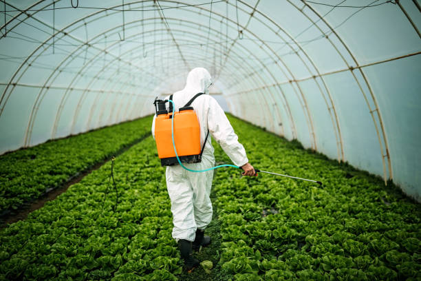 Best Commercial Pest Control Services  in Green Valley, AZ