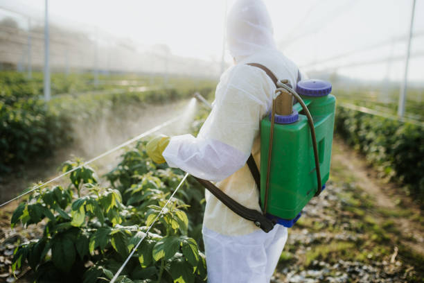 Trusted Green Valley, AZ Pest Control Experts